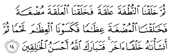 Did Allah tell Muhammad about embryos?